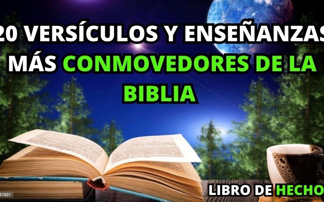 ¿Quién te persigue?