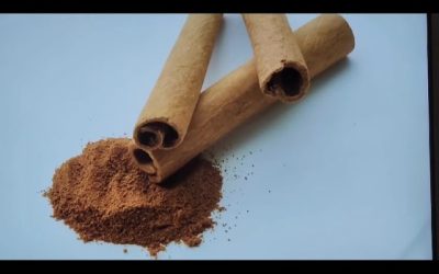 CANELA, un árbol bendito