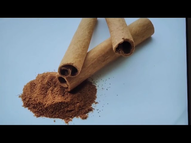 CANELA, un árbol bendito